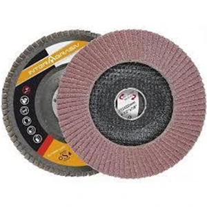 Flap 100 Kum Zımpara