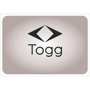 Kağıt Oto Paspas Ebat 35*50 Adet 50  Suya Dayanıklı 170GR Kağıt