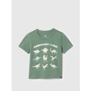 Erkek Bebek Yeşil Mix And Match Grafikli T-Shirt