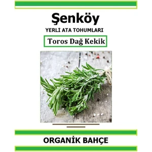 Yerli Toros Dağ Kekik Tohumu Doğal Ata Tohum Pakette 50 Tohum + Hediye Sebze Tohumu