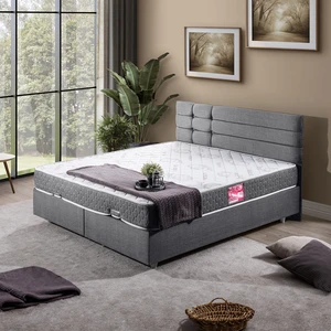 Viyana Çift Kişilik Baza Başlık Letto Yatak Seti Gri