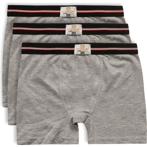 Özkan Underwear Özkan 0711 3'lü Paket Erkek Çocuk  Pamuklu Esnek Yumuşak Boxer Şort
