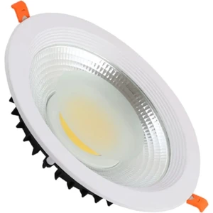 Canlar Aydınlatma 20 W Cob LED Downlight Armatür 6500 K Beyaz Kasa Beyaz Işık
