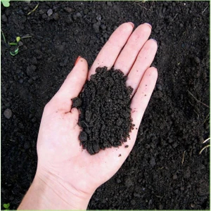 Doğa Garden 40 Litre Özel Karışımlı Bitki Toprağı - Torf,