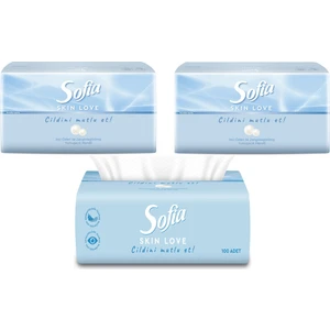 Skin Love Mendil 100'LÜ 3 Paket