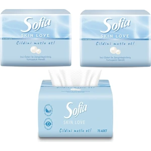 Skin Love Mini Mendil 75'li 3 Paket