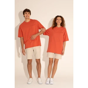 U.S. Polo Assn. Erkek Pudra Tişört 50282236-VR042