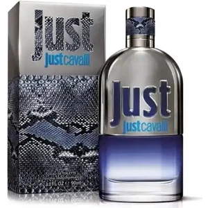 Roberto Cavalli Just Man EDP 90 ml