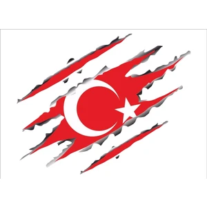 Seç Reklam Pençe Türk Bayrağı Renkli Sticker Çok Amaçlı Sticker Etiket