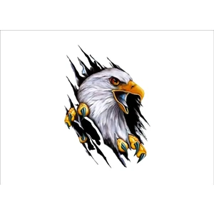 Seç Reklam Pençe Kartal Renkli Sticker Çok Amaçlı Sticker Etiket
