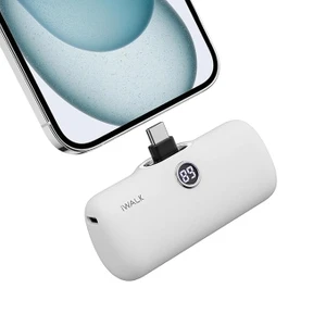 DBL5000PC 4.800MAH Type-C Mini Boy Pd Hızlı Şarj Özellikli  Powerbank
