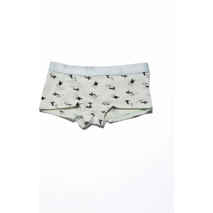 Paul Kenzie x Kurtaran Ev - Desenli Kadın Boyshort Külot - Frenchie