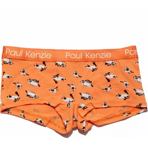 Paul Kenzie x Kurtaran Ev - Desenli Kadın Boyshort Külot - Siyam