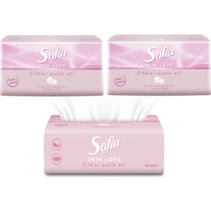 Skin Love Pudra Kokulu Mendil 100'LÜ 3 Paket