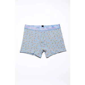 Paul Kenzie x Kurtaran Ev - Desenli Erkek Boxer - Poppy