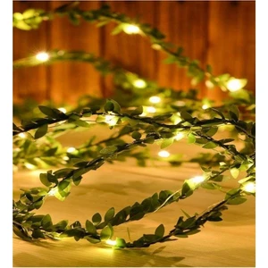 Çılgın Yeşil Sarmaşık Peri LED Işık 3 M