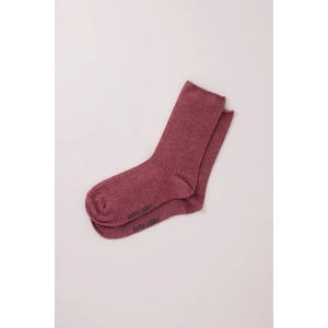 Katia & Bony Erkek Bordo Renkli Modal Soket Çorap