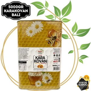 Baştan Yöresel 5kg Teneke Gezdirilen Bozdağ Karakovan Balı