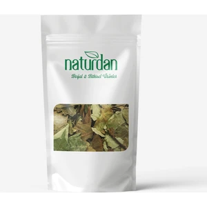 Avokado Yaprağı 100 gr