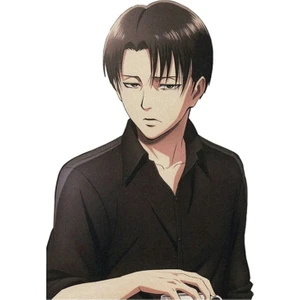 Levi Ackerman Aot Tablo Ahşap Poster Dekoratif