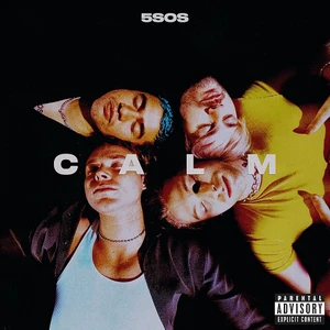 5 Seconds of Summer - Calm (Plak)