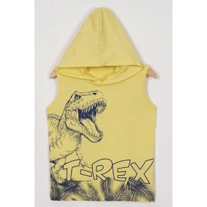 Trex Baskılı Kapüşonlu Sıfır Kol Sarı Renk Erkek Çocuk Tshirt