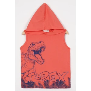 Trex Baskılı Kapüşonlu Sıfır Kol Nar Çiçeği Renk Erkek Çocuk Tshirt