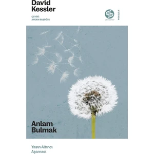 Anlam Bulmak - David Kessler