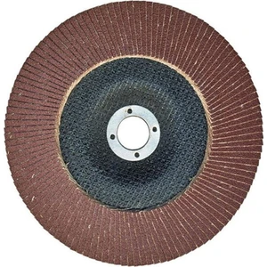 Egesan 180MM 80 Kum Flap Disk