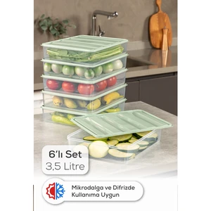 6’li 3,5 Litre Buzdolabı Dondurucu Organizer Mikrodalga ve Difrize Uygun Saklama Kabı Mint