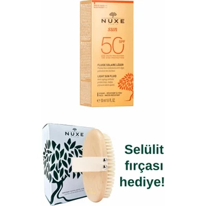 Sun - Creme Fondante Visage Haute Protection SPF50 50 ml - Güneş K Selülit Fırcası Hediyelioruyucu Yüz Kremi