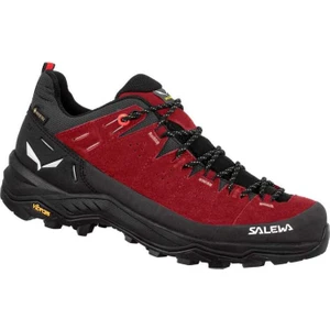 Alp Traıner 2 Gtx W