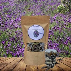 Karabaş Otu (Lavandula Stoechas L.)