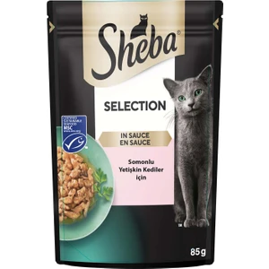 Somon Balıklı Kedi pouch  Yaş mama   85 gr