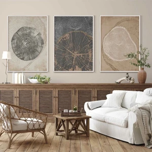 Kolaj Tasarım Zamanın Izleri: Çeşitli Ağaç Halkaları Üçlü Metal Çerçeveli Tablo Takımı /s