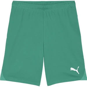 Teamgoal Shorts Erkek Futbol Antrenman Şortu 70575205 Yeşil