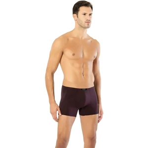 Erkek Beli Katlamalı Modal Boxer