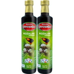 Bozkırlı Çavuşoğlu Kozalak Şurubu 650G x 2