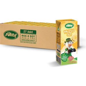 Muzlu Süt 200 ml (27 Adet)