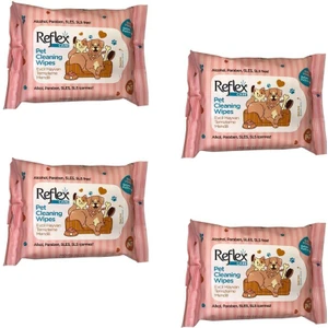 Temizleme Mendili 10'lu Paket x 4 Adet