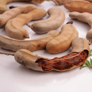 Berke Fidancılık Tüplü Tamarind Demirhindi Fidanı (Hint Hurması)