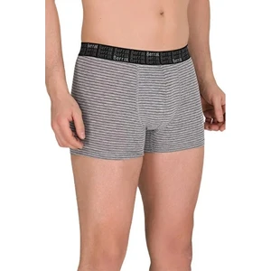 Erkek Berrak 3 Adet Çizgili Boxer 4476