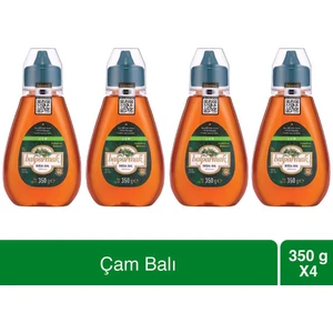 Çıtkapak Çam Balı 350 gr x 4 Adet