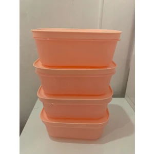 Alaska 450 ml Derin Dondurucu Ve Buzdolabı Saklama Kabı 4 lü