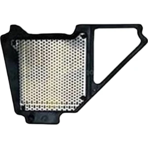 Ybr Esd Hava Filtresi MOTO11