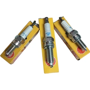 Tiger 250 Buji MOTO11