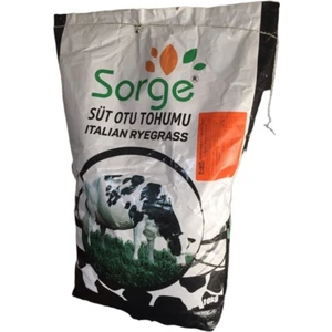 Esin Tohum Ryegrass Otu Tohumu Süt Otu Tohum 500 gr