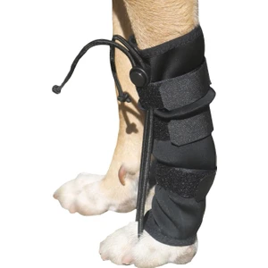 Köpek Ön Ayak Düzleştirici - Medium