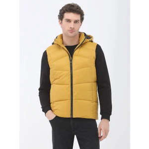 Sarı Regular Fit Kapüşonlu Casual Dokuma Spor Yelek