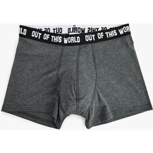 3'lü Boxer Seti Slogan Baskılı Çok Renkli Pamuklu